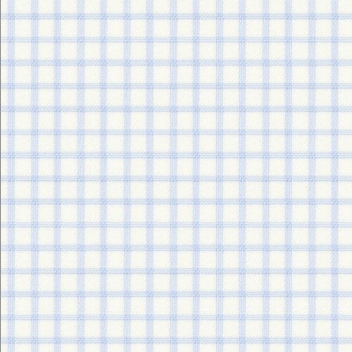 Classic Sky Blue Twill Checks Shirt