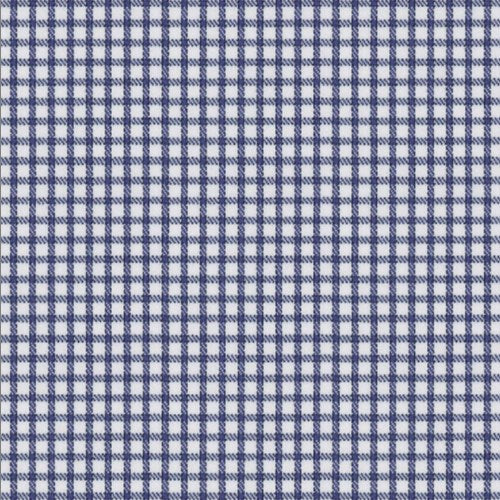 Envy Navy Graph Checks Shirt