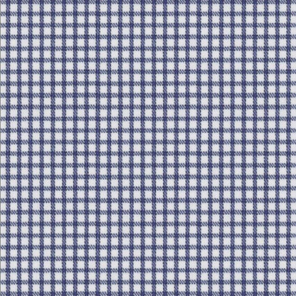 Envy Navy Graph Checks Shirt